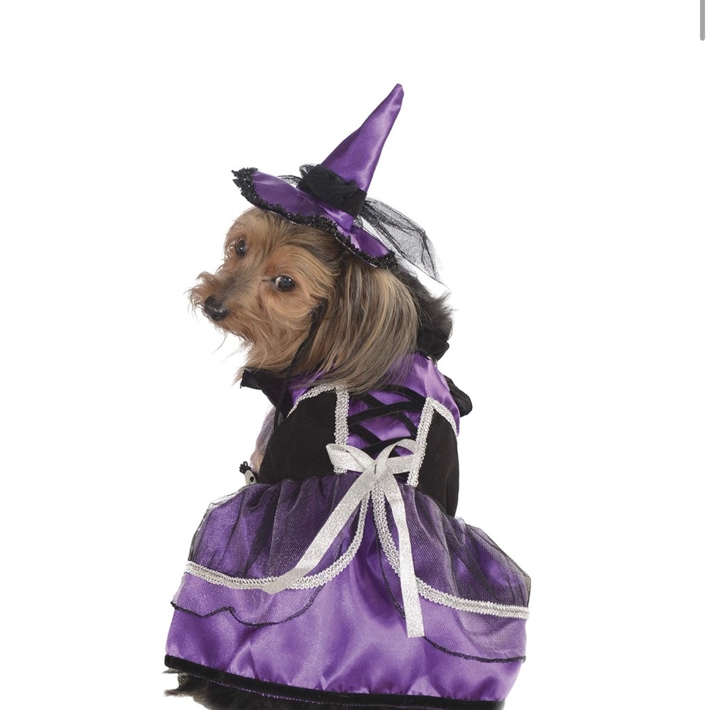 Rubie's Pet Costume, Purple Witch Dress and Hat